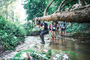 BIB: 
                            <button type="button" onclick="openModal(25453408)" class="btn btn-primary btn-sm float-right btn-popup" data-toggle="modal" data-target=".modal-high-quality">
                        <i class="fas fa-shopping-cart"></i> Add to Cart
                    </button>
                                            <button type="button" onclick="isThisMe(25453408, true)" class="btn btn-success btn-sm float-right btn-popup btn-isme hidden" data-toggle="tooltip" data-placement="bottom" title="นี่คือรูปของคุณใช่ไหม คลิกที่นี่เพื่อเอาเข้าอัลบั้ม">
                        <i class="fas fa-plus"></i> Add to album
                    </button>
                    <button type="button" onclick="isThisMe(25453408, false)" class="btn btn-warning btn-sm float-right btn-popup btn-isnotme hidden">
                        <i class="fas fa-ban"></i> Remove from album
                    </button>